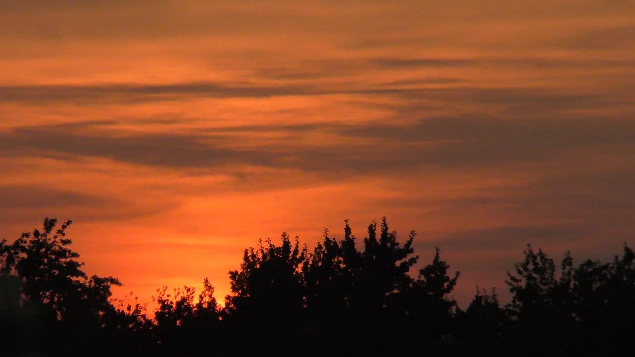 Backdrop – How I See Sunsets