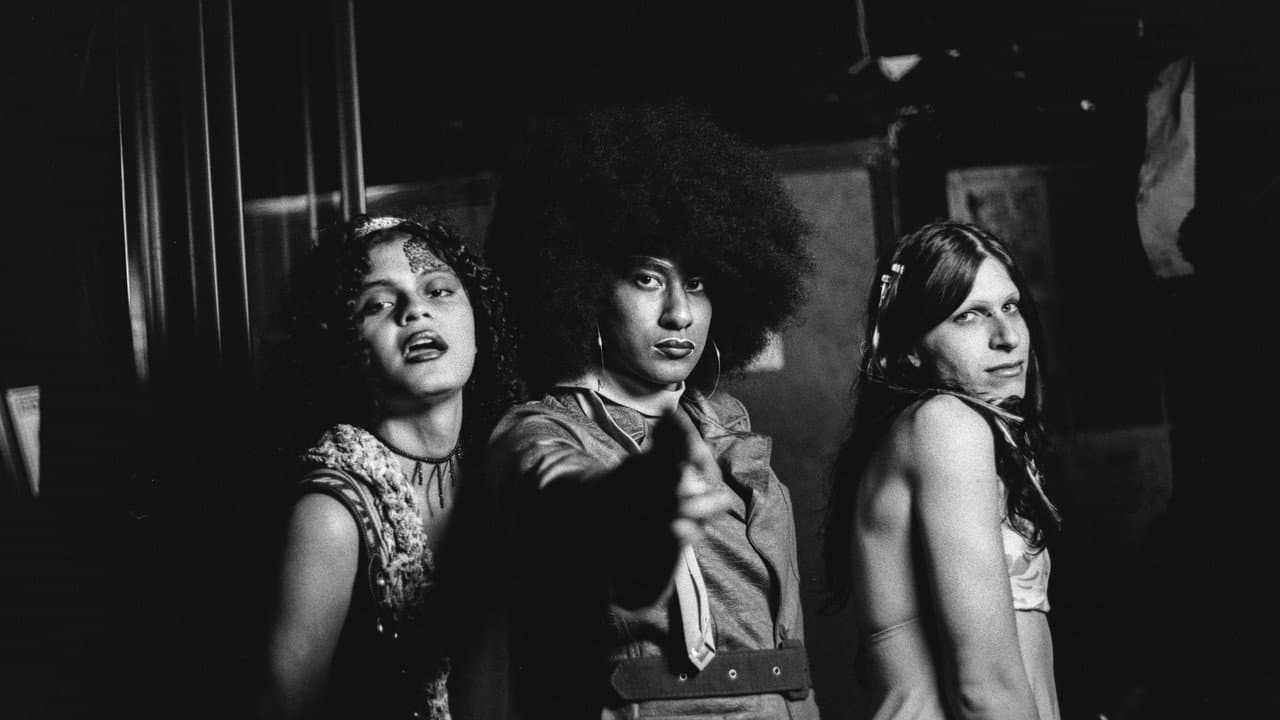 Backdrop – Lexa Vale-Tudo