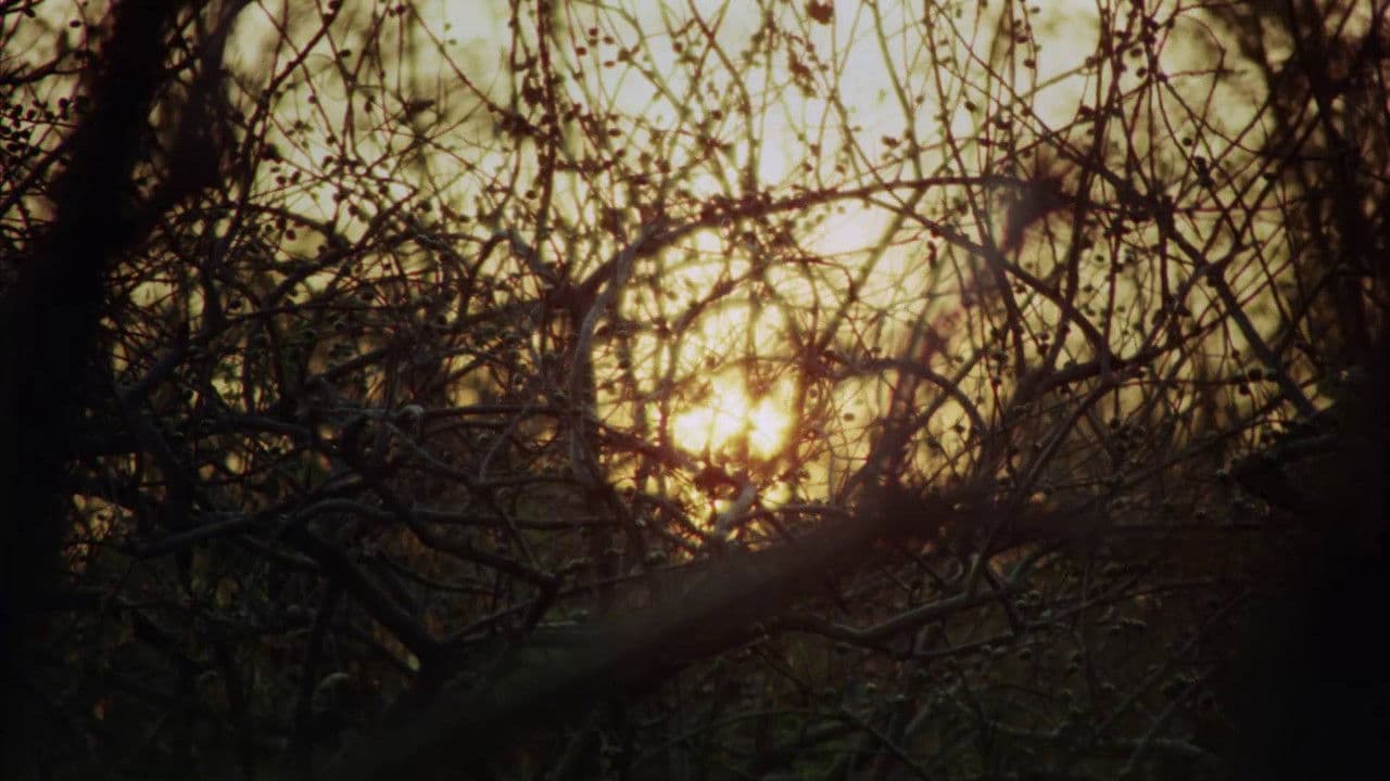 Backdrop – Virgin People