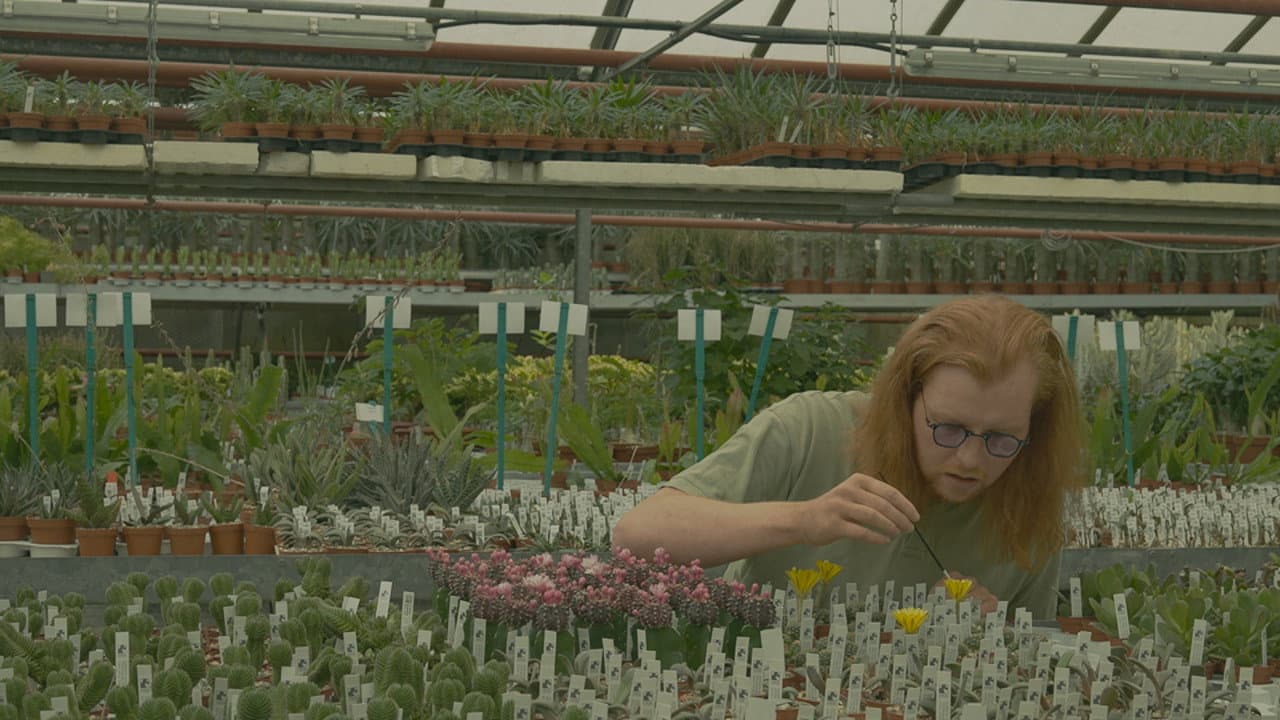 Backdrop – PLANTASIA