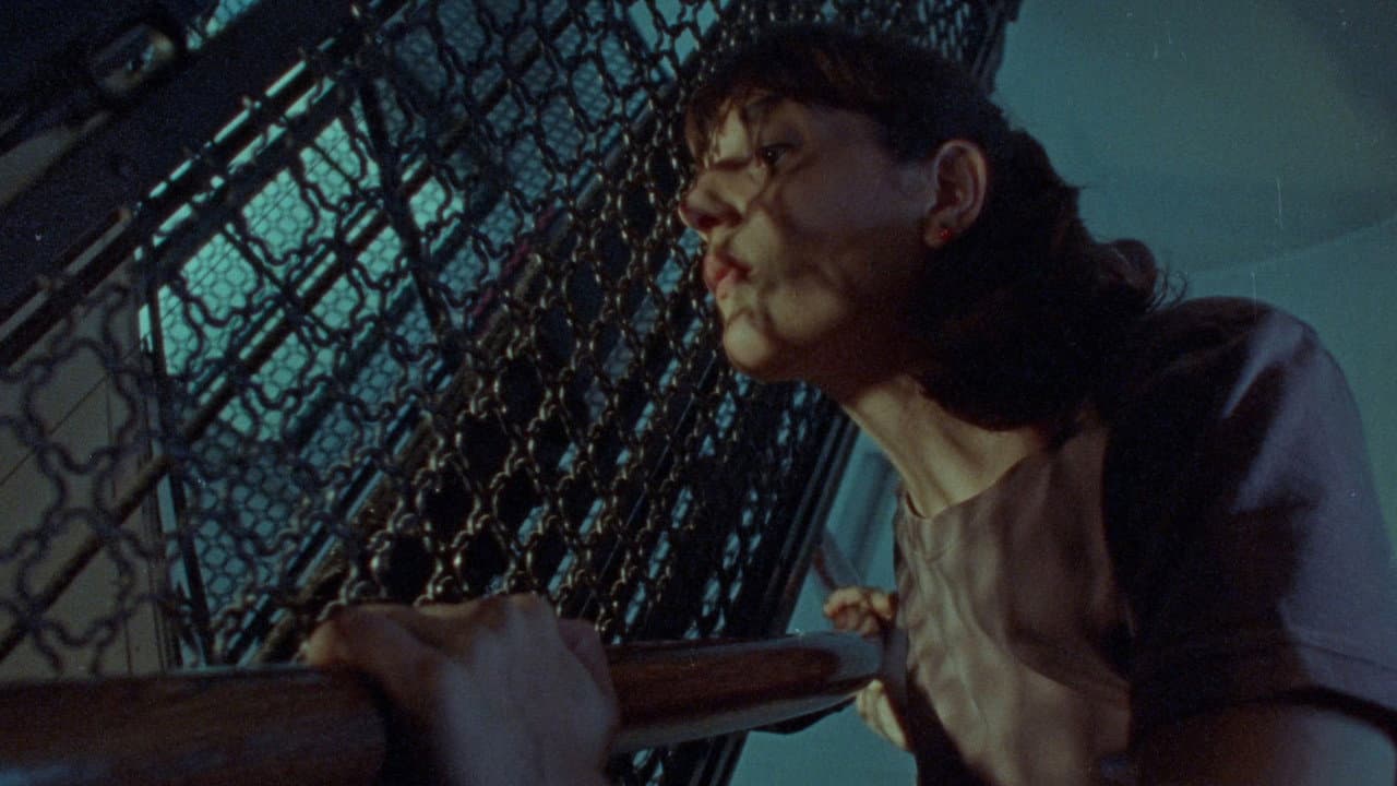 Backdrop – El Consorcio