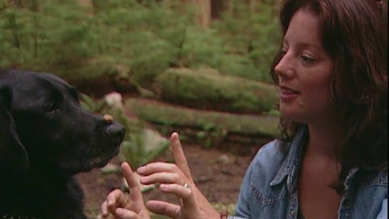 Backdrop – Sarah McLachlan: A Life of Music