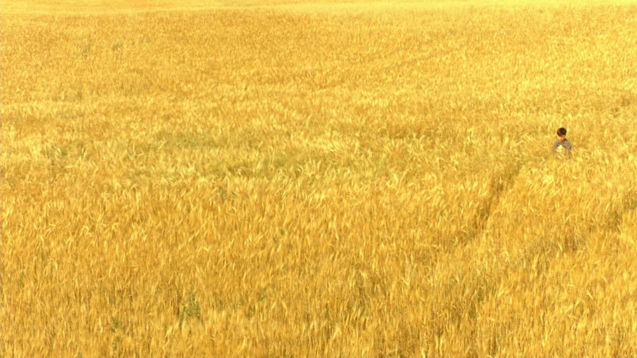 Backdrop – Schrei in der Stille