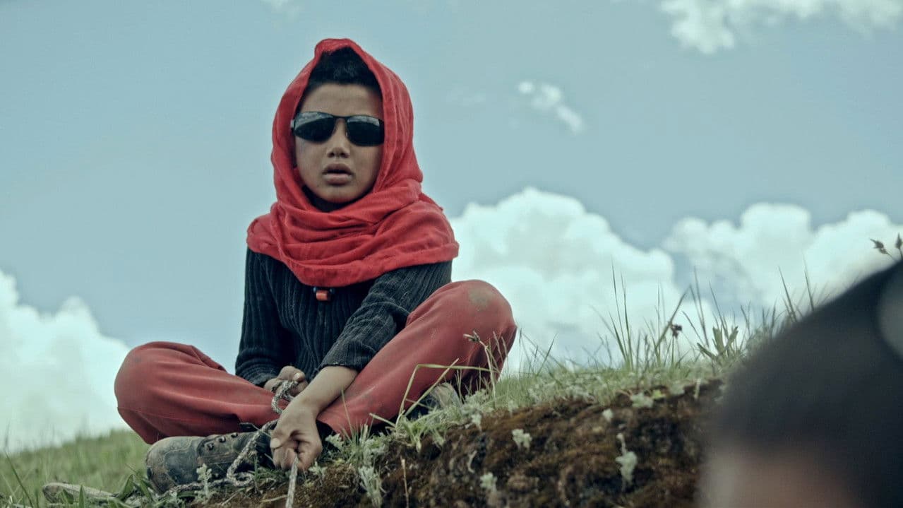 Backdrop – 少年与驴