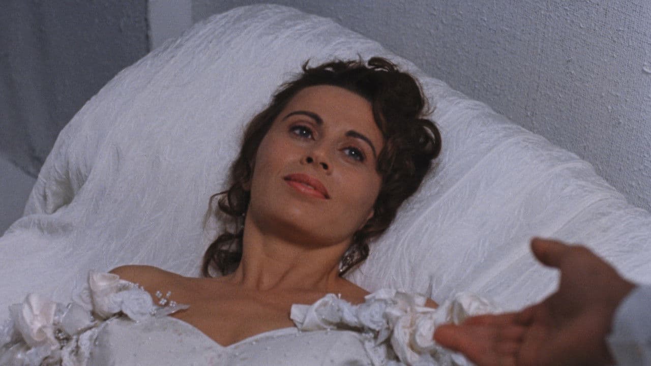 Backdrop – White Room