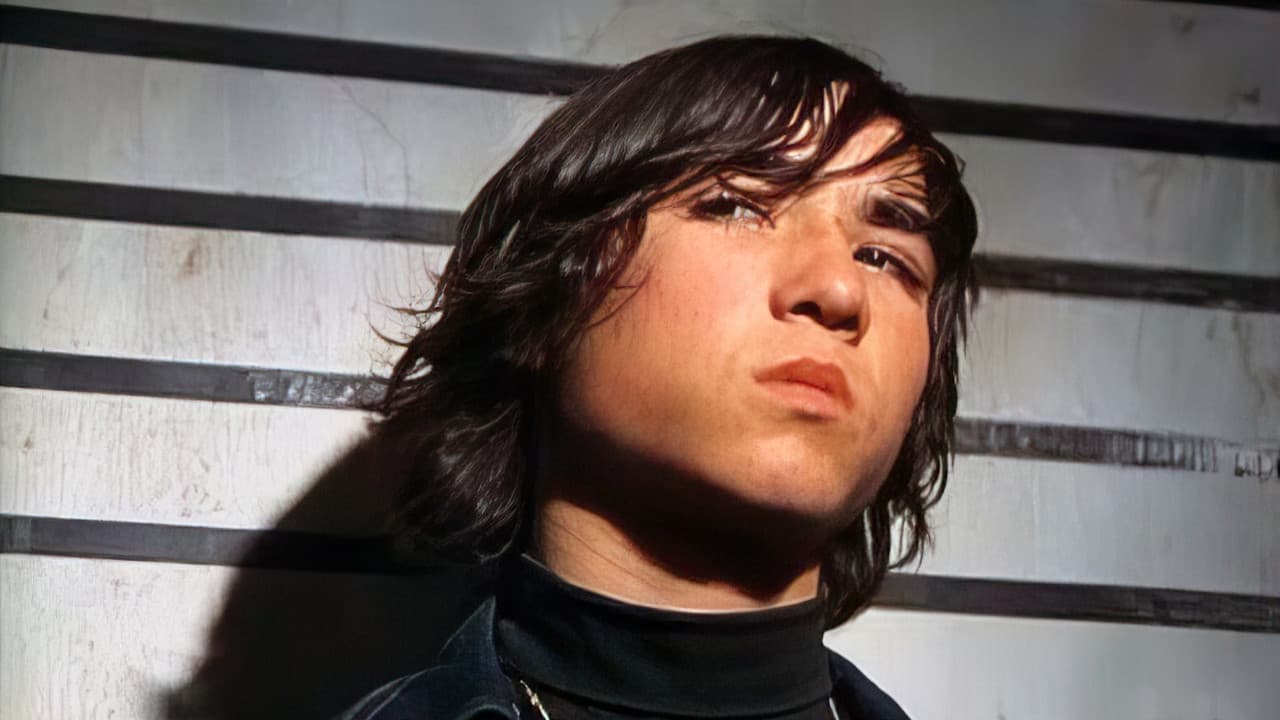 Backdrop – Perros callejeros