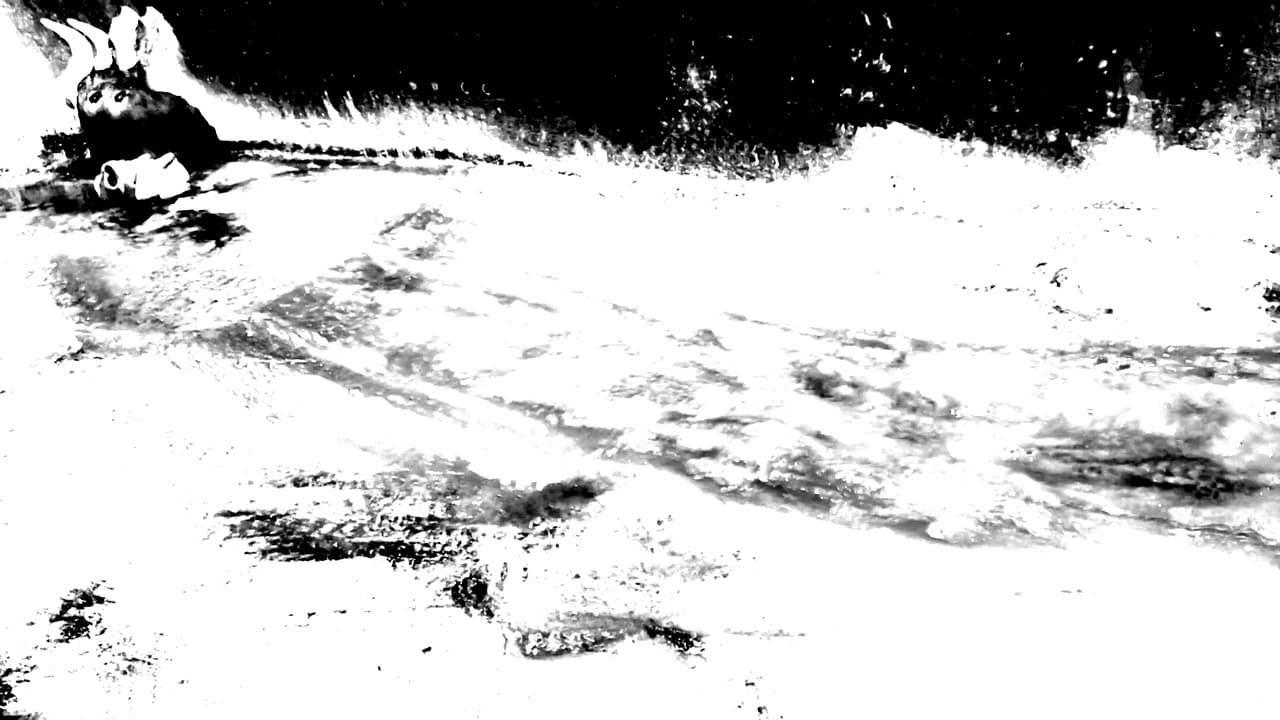 Backdrop – The Death Ox