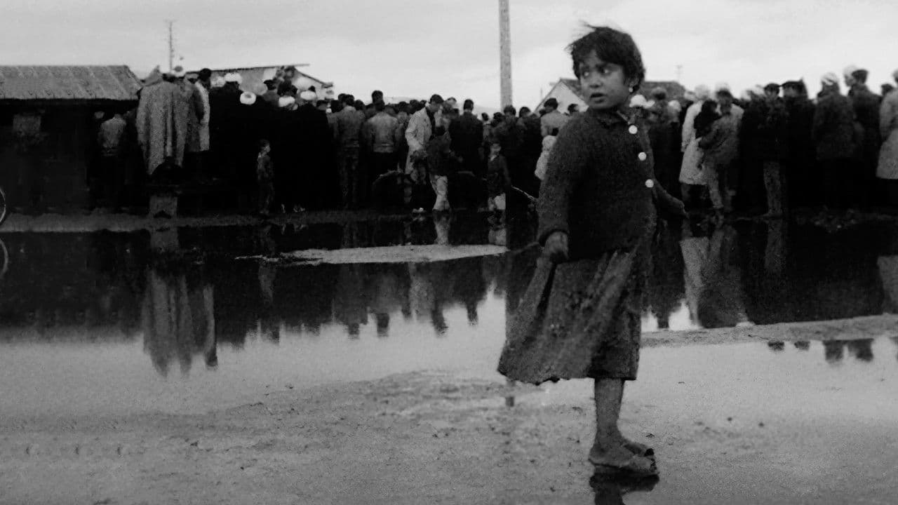 Backdrop – Algérie, année zéro