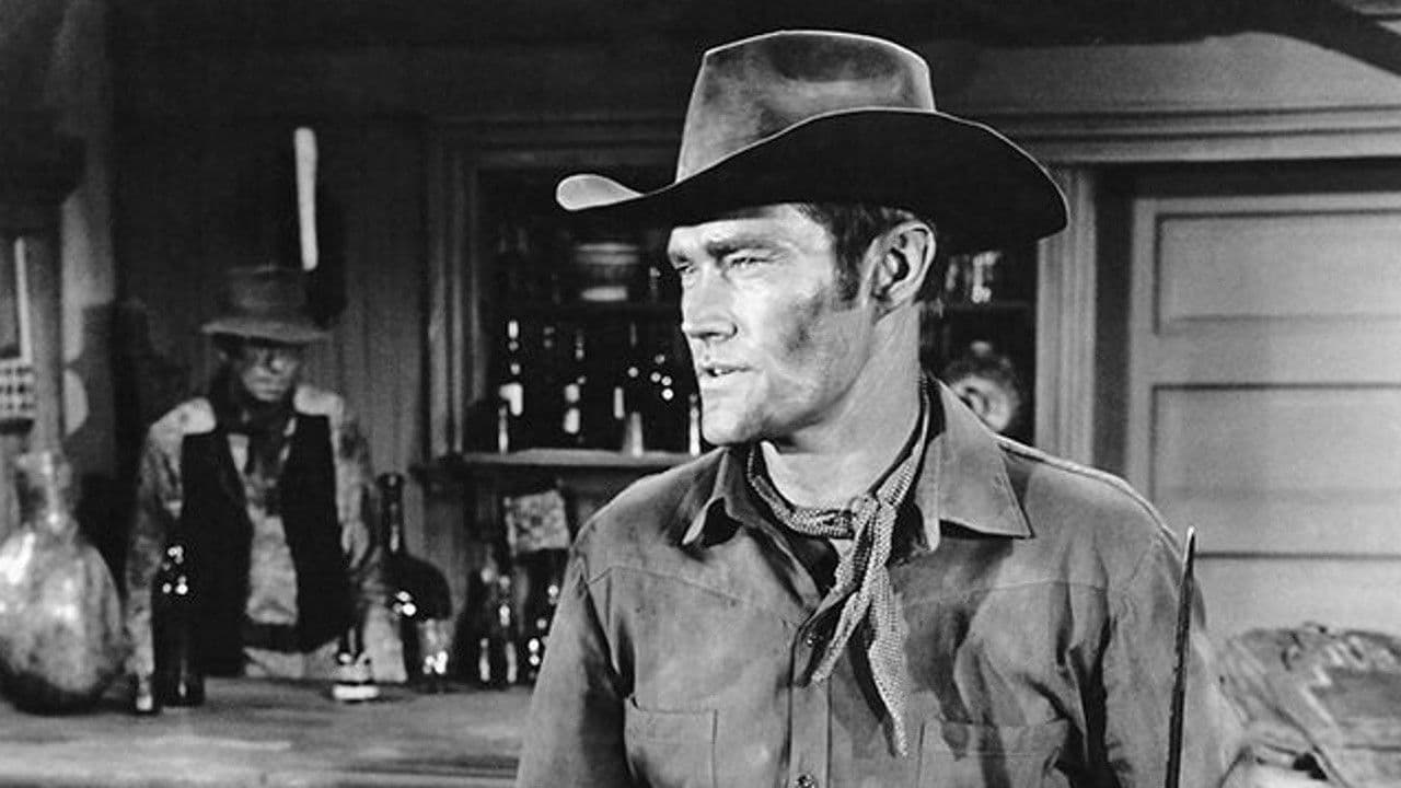 Backdrop – Geächtet, gehasst, gefürchtet