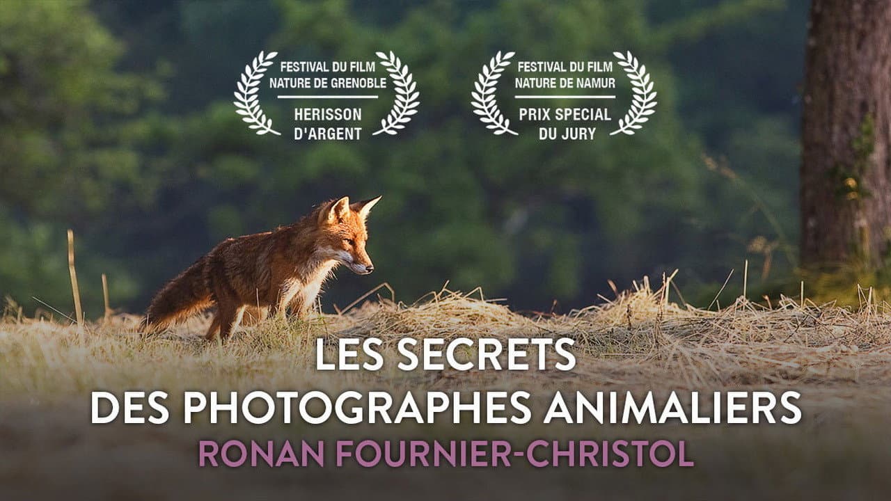 Backdrop – Les secrets des photographes animaliers
