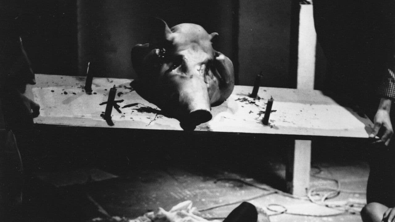 Backdrop – Mondo Freudo