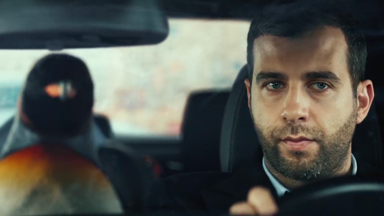 Backdrop – Ёлки 5