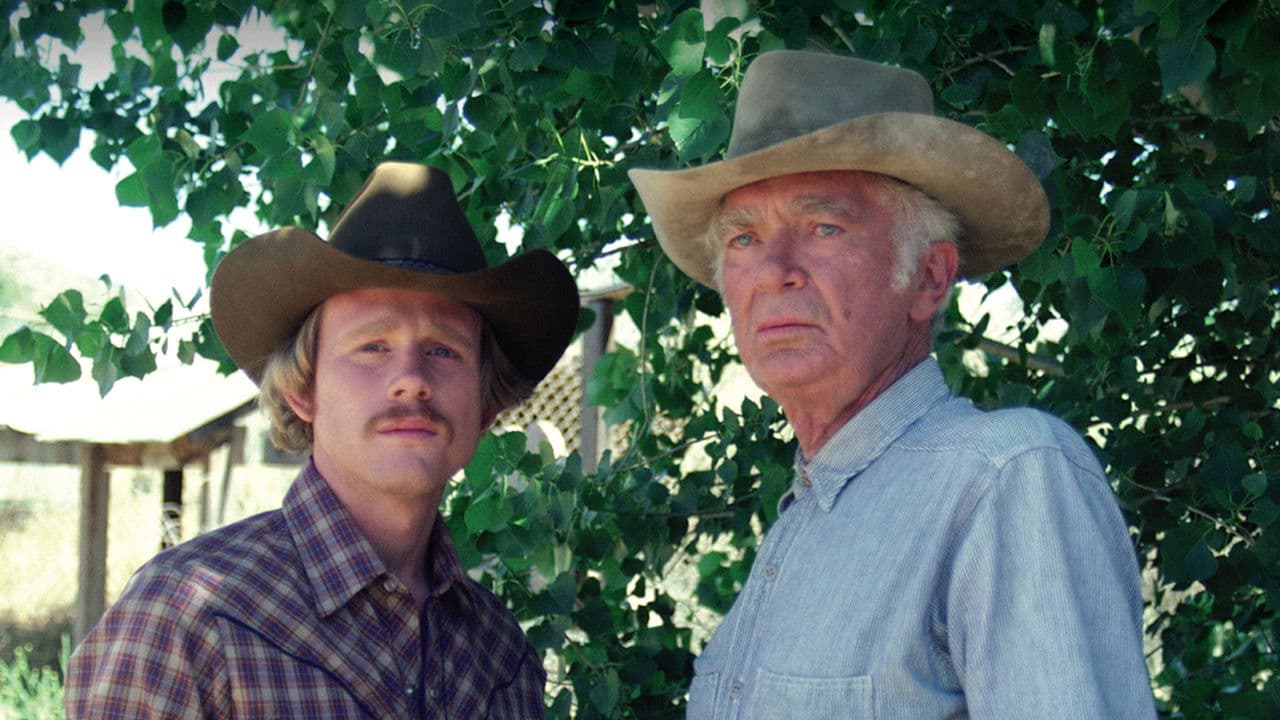 Backdrop – Fire on the Mountain