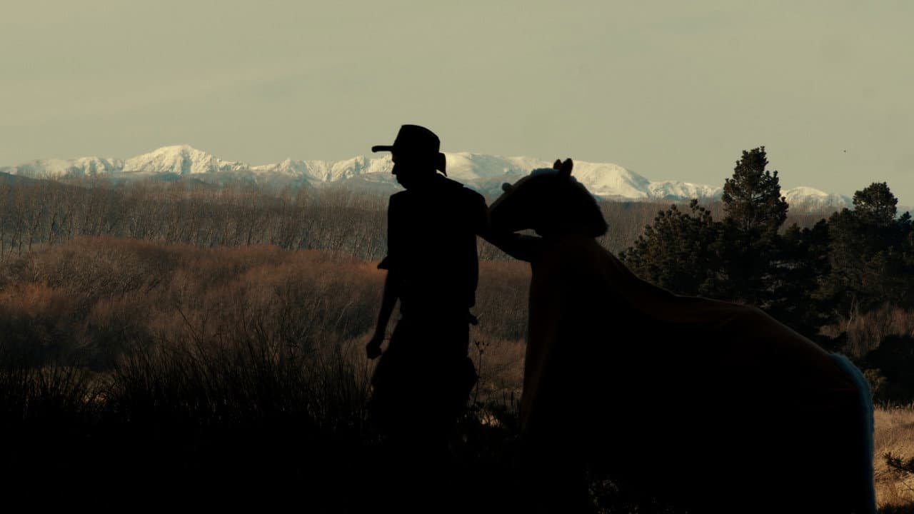 Backdrop – The True Story of Billy the Horse