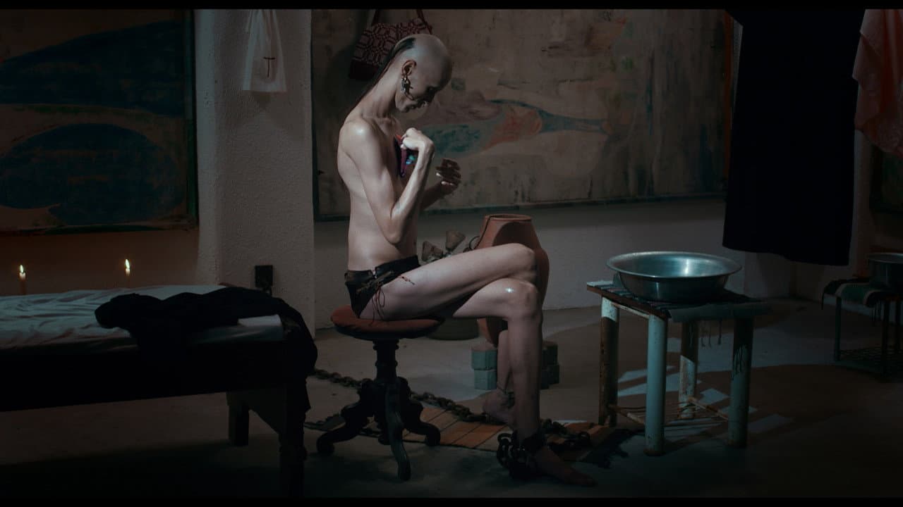 Backdrop – Pop Ritual