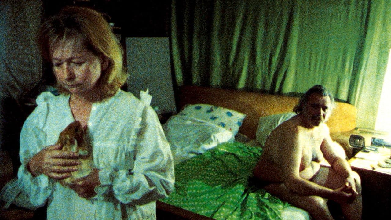 Backdrop – Tierische Liebe