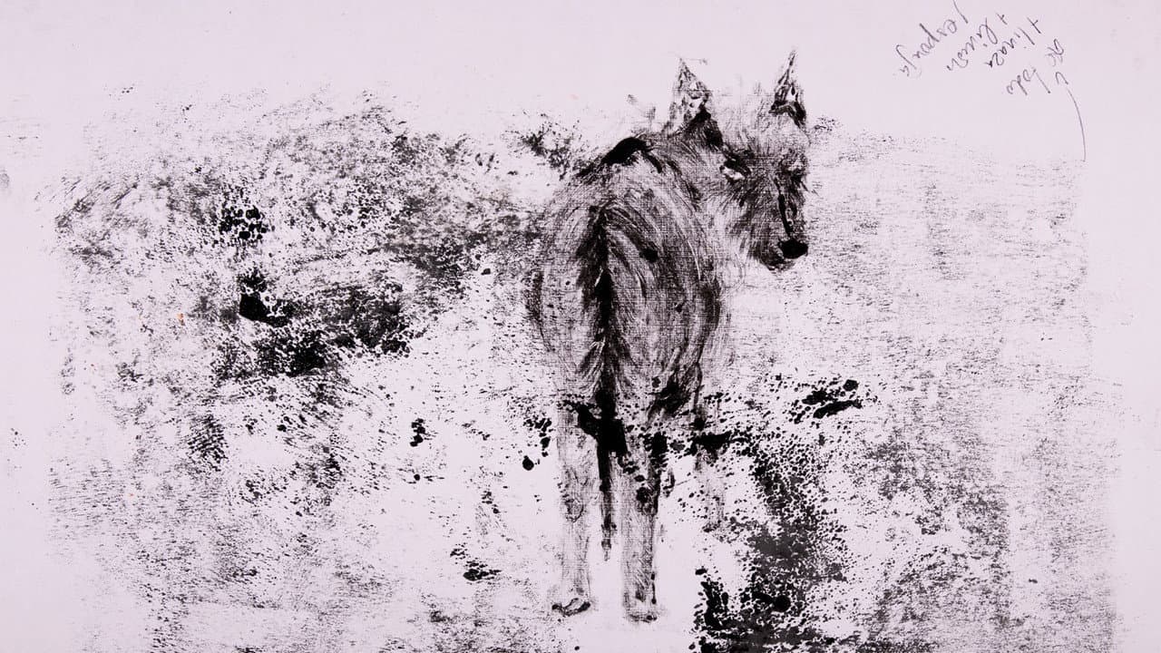 Backdrop – decaer