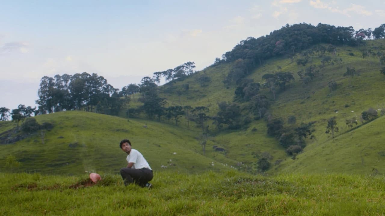 Backdrop – O Disco das Histórias