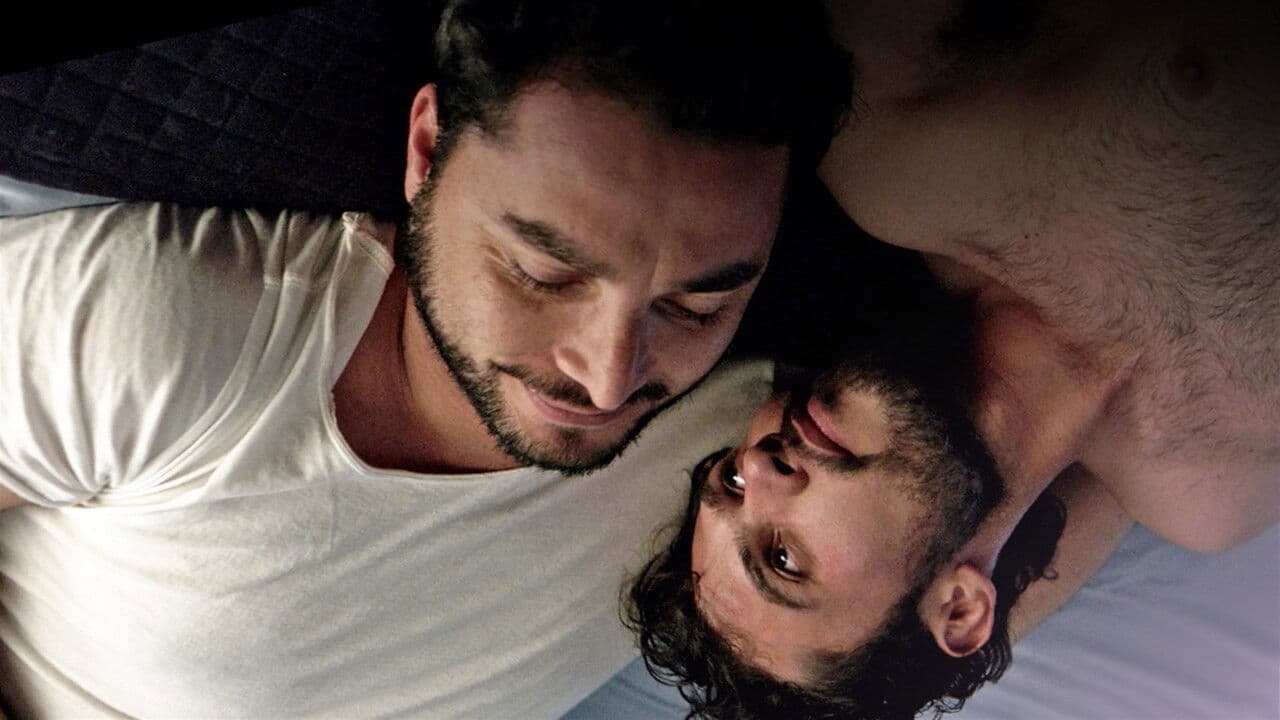 Backdrop – The Latin Boys: Volume 2