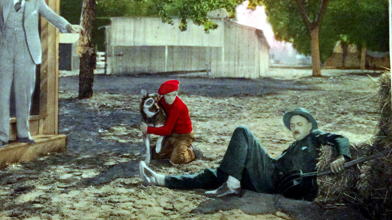 Backdrop – A Race for Life