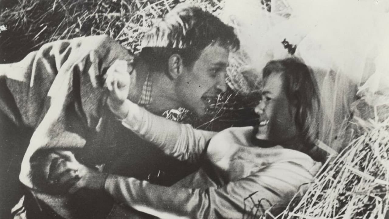 Backdrop – Die schwedische Hochzeitsnacht