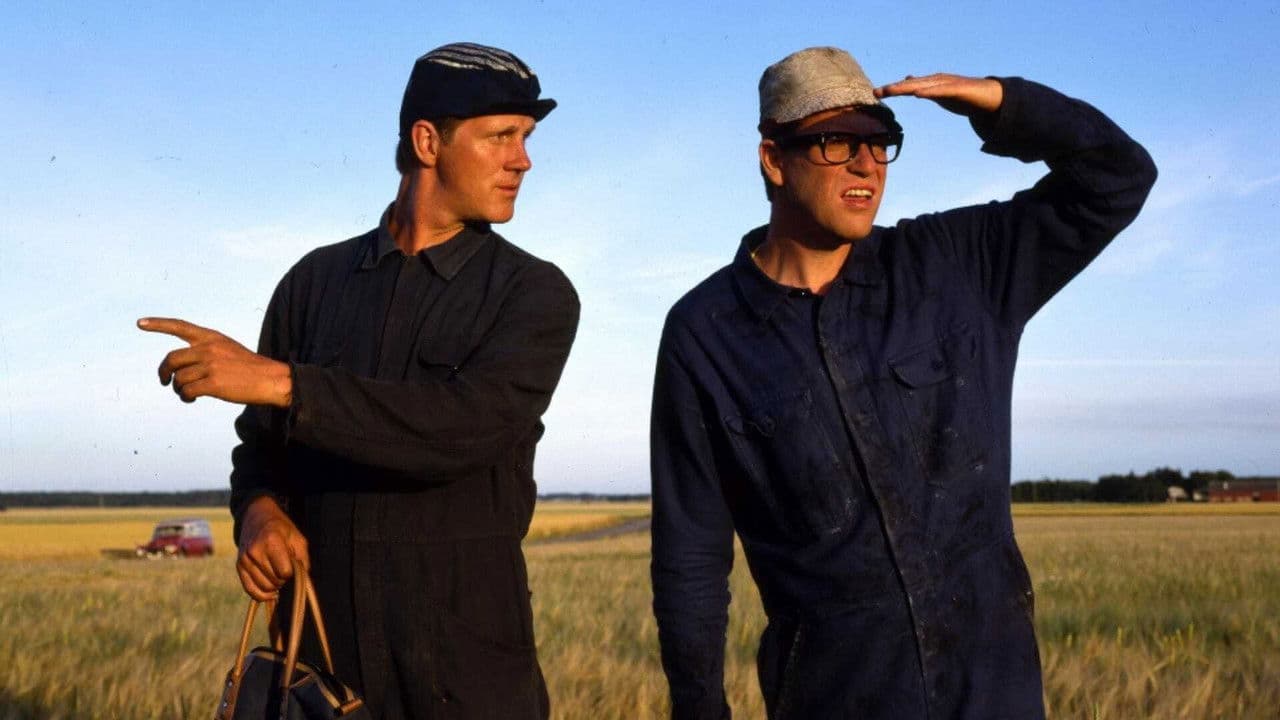 Backdrop – Macken - Roy's & Roger's Bilservice