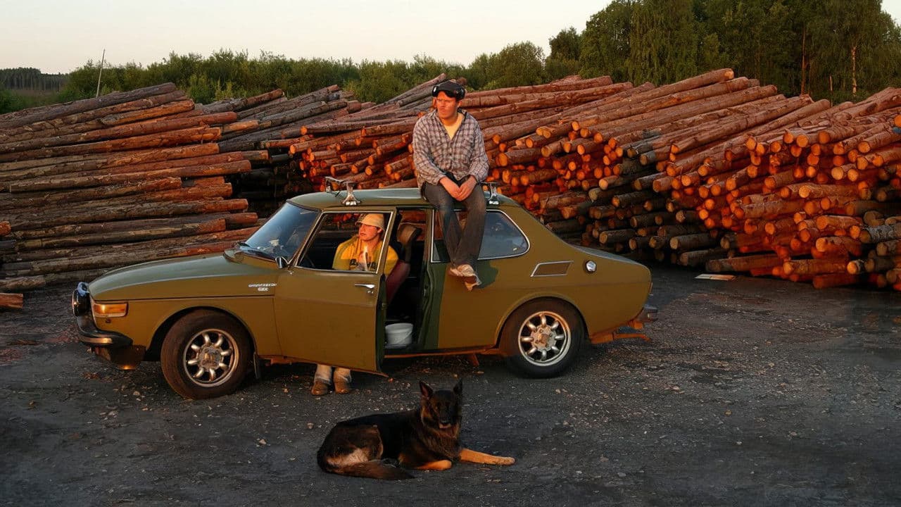 Backdrop – Der Baumliebhaber