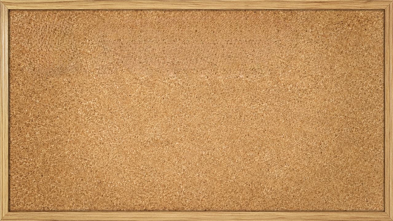 Backdrop – מטומטמים