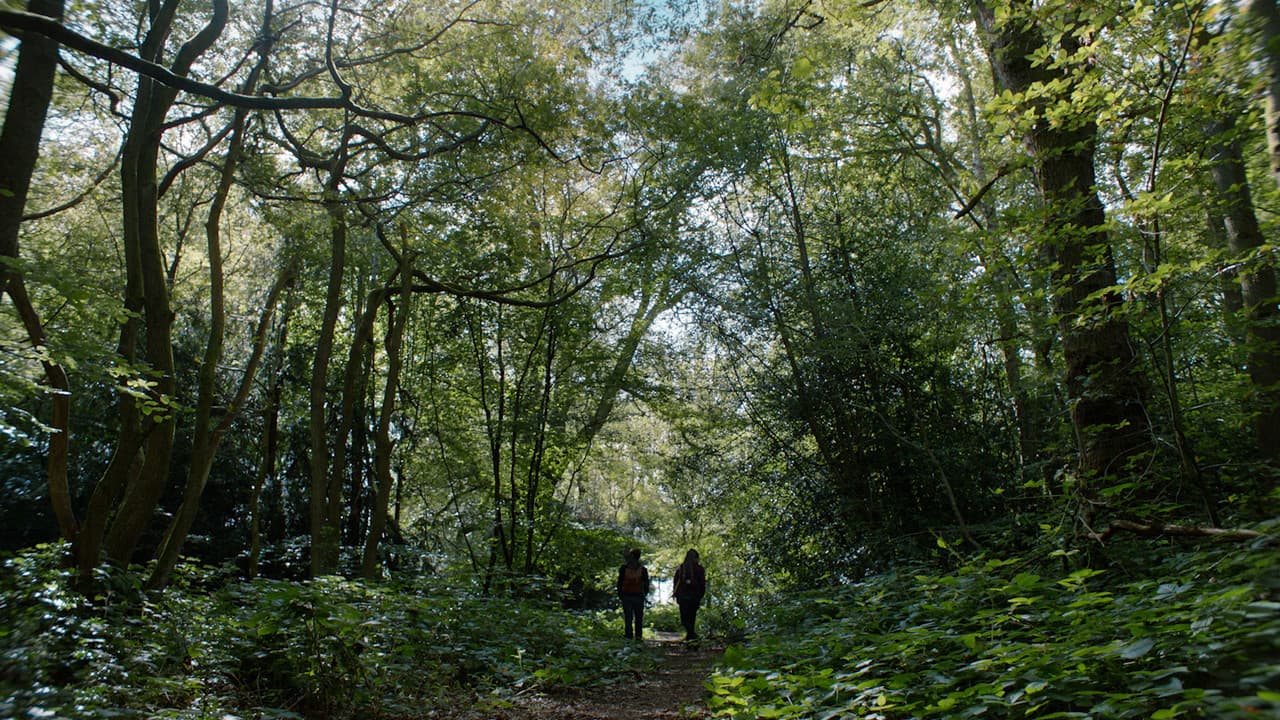 Backdrop – Diggers