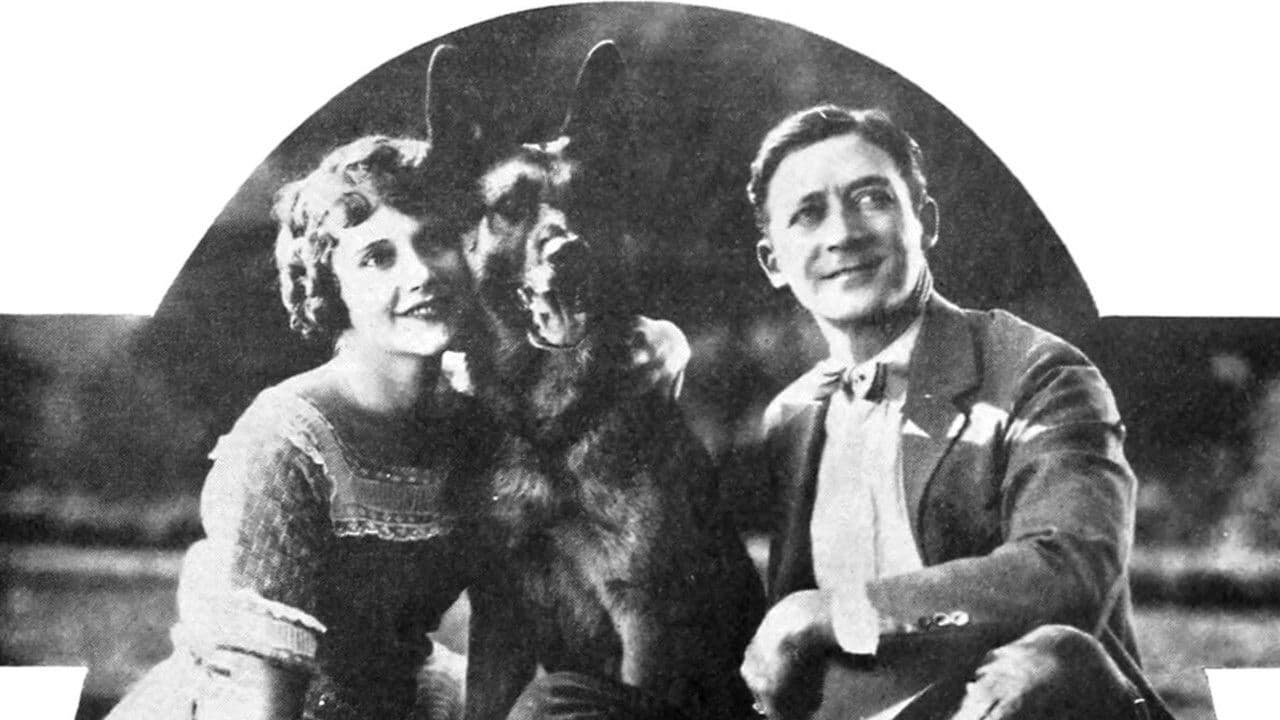 Backdrop – White Fang