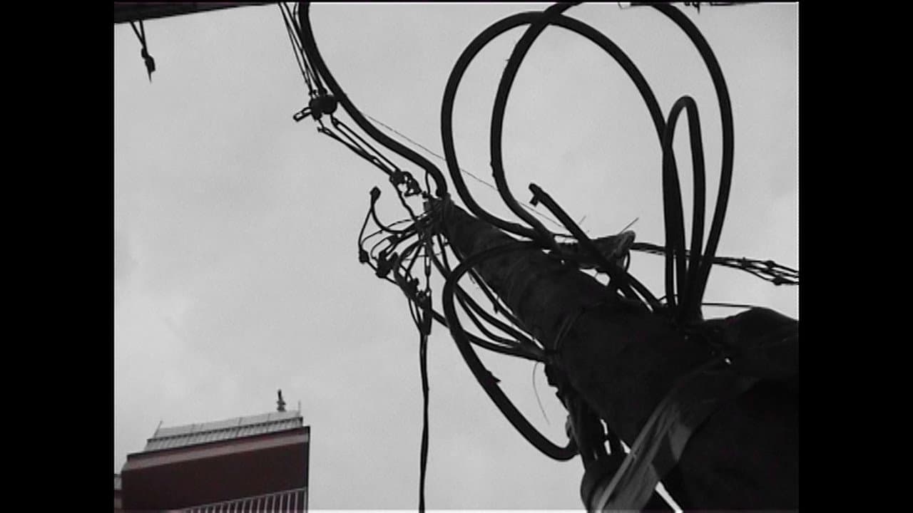 Backdrop – Cementiri d'antenes