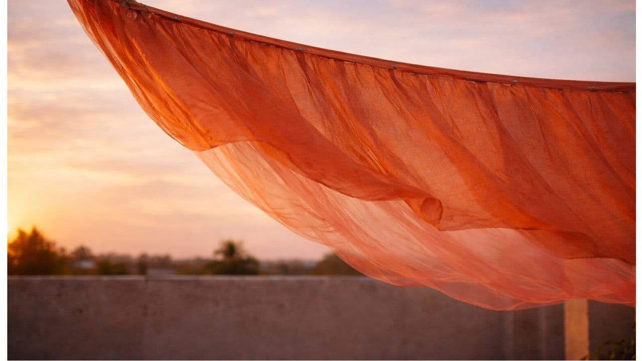 Backdrop – A Gentle Wind