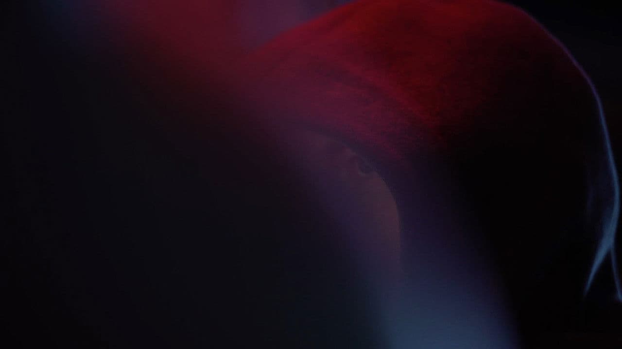 Backdrop – The Choice - The Risks of Web Democracy