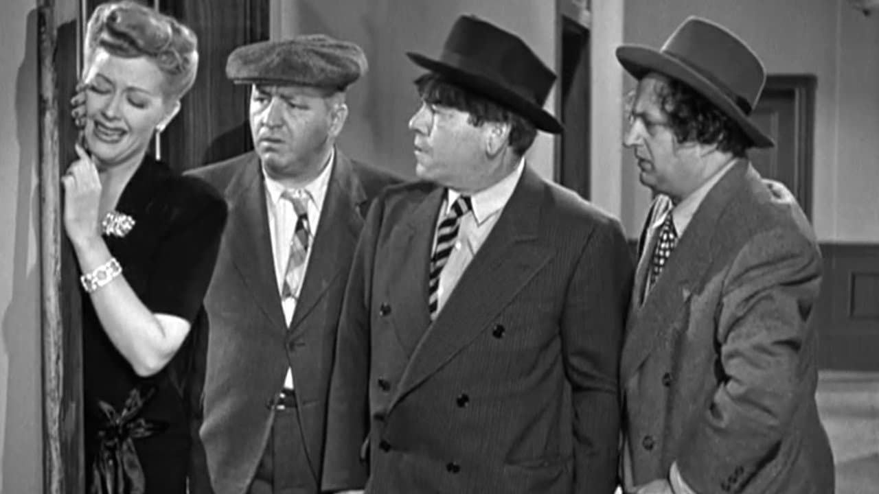 Backdrop – Three Pests in a Mess