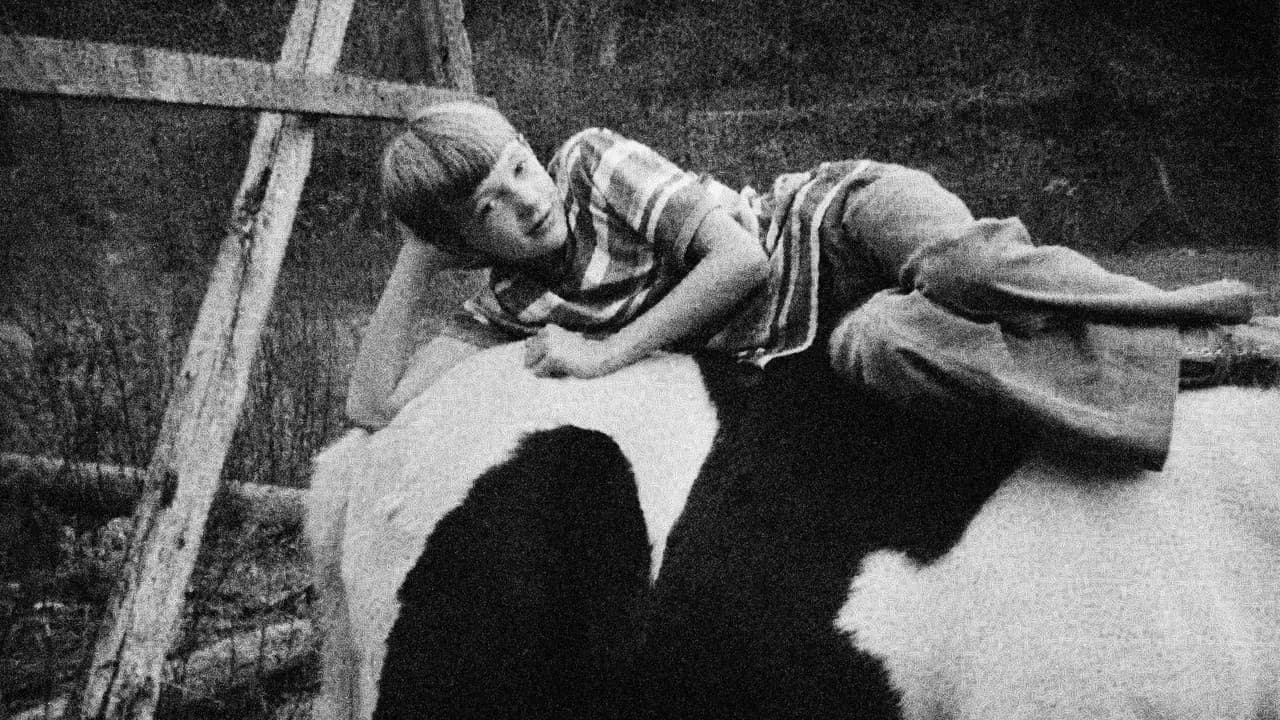 Backdrop – Portraits and Dreams