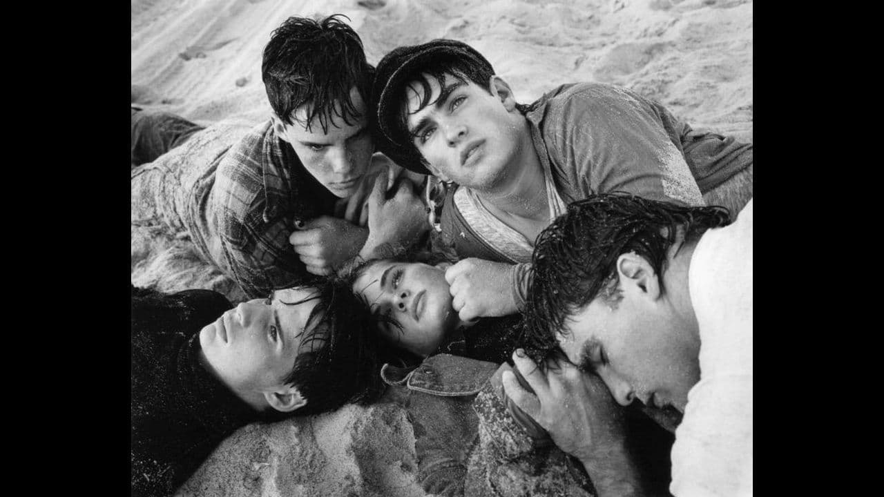 Backdrop – Beauty Brothers