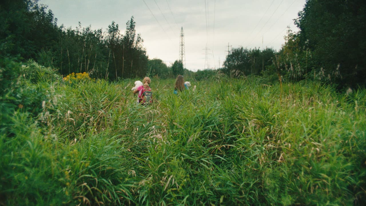 Backdrop – Peau de pêche