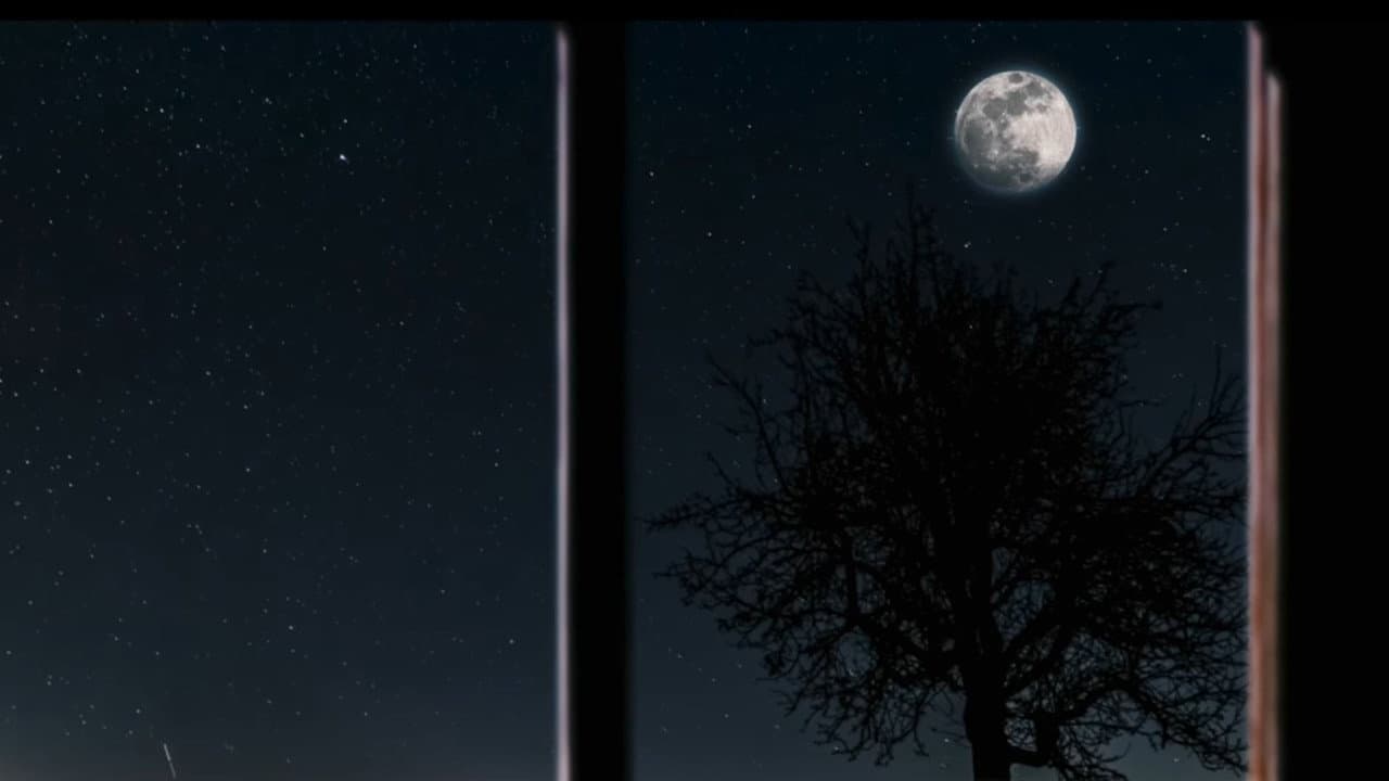 Backdrop – Moon Town