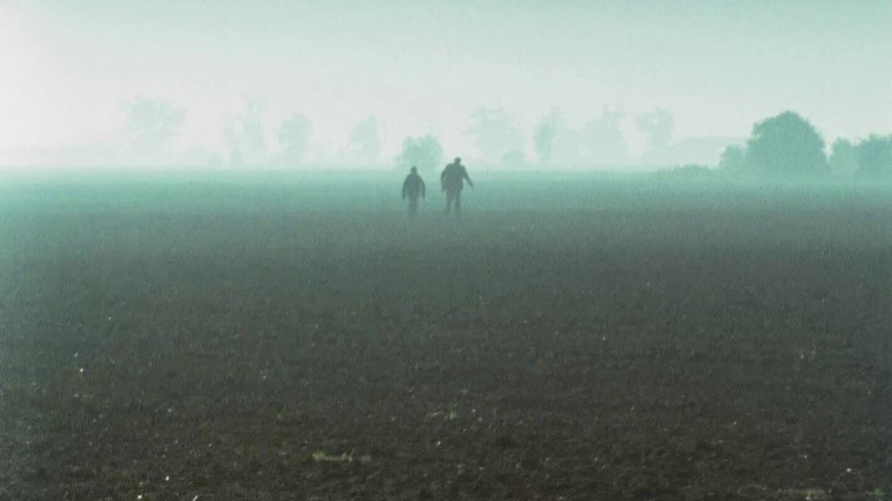 Backdrop – Flying Into the Wind