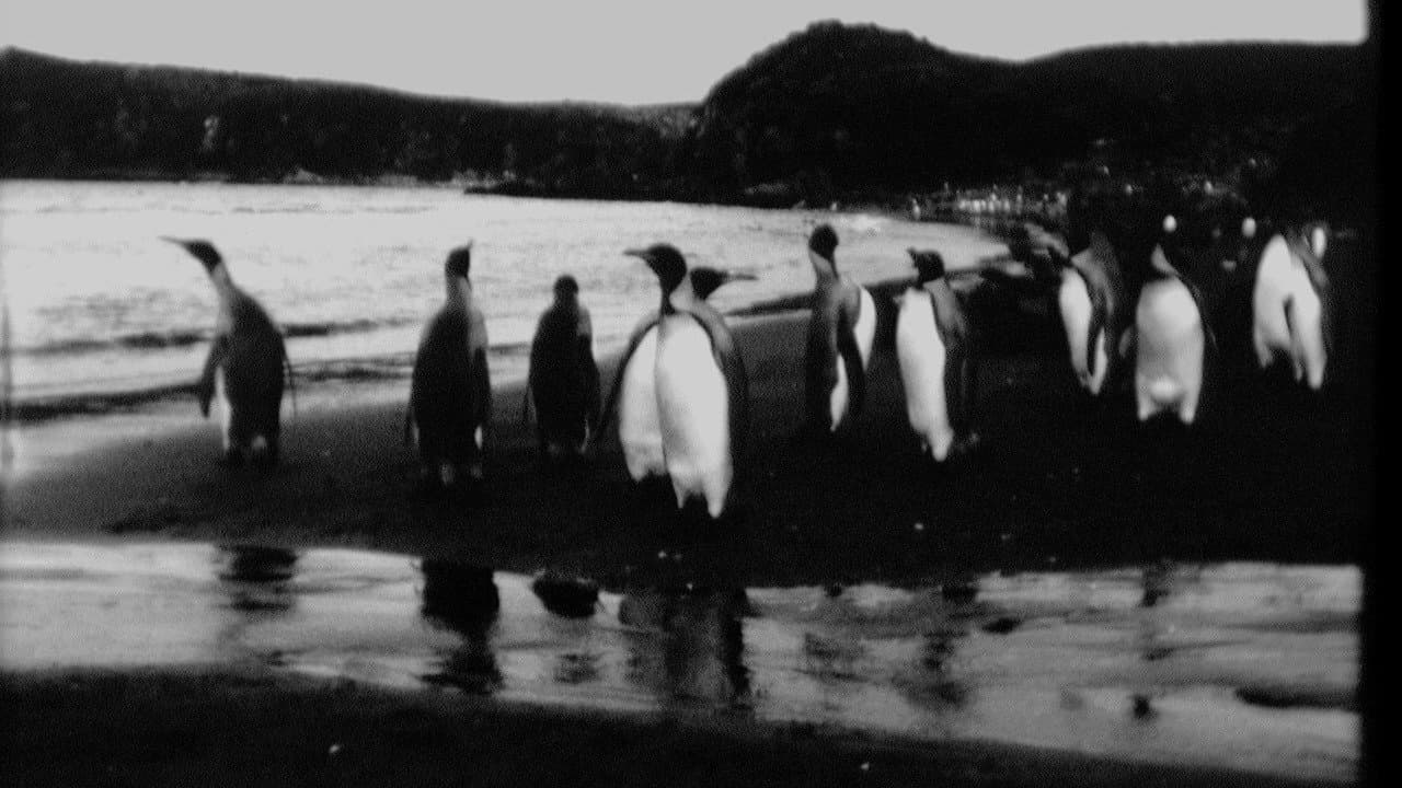 Backdrop – End of Summer