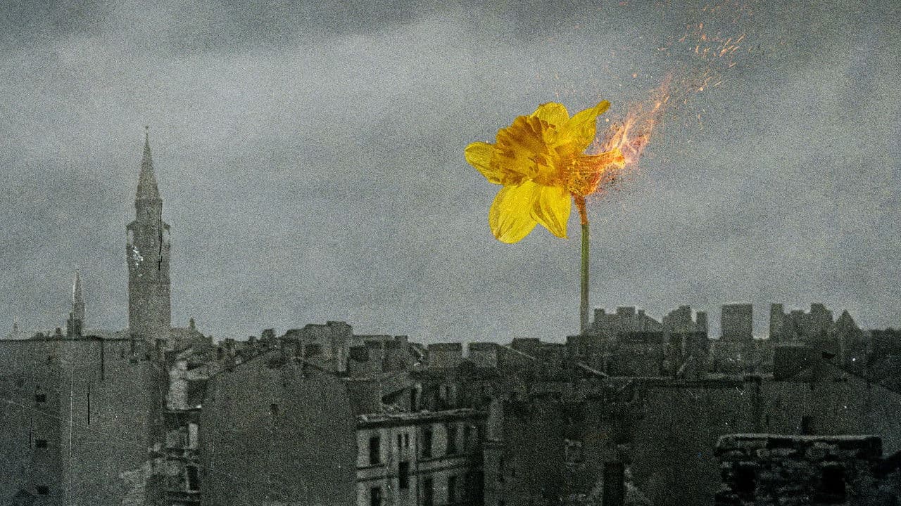 Backdrop – 33 zdjęcia z getta