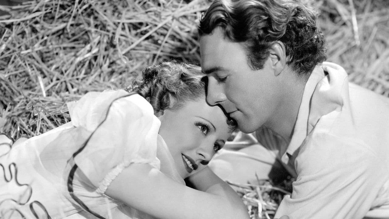 Backdrop – High, Wide and Handsome