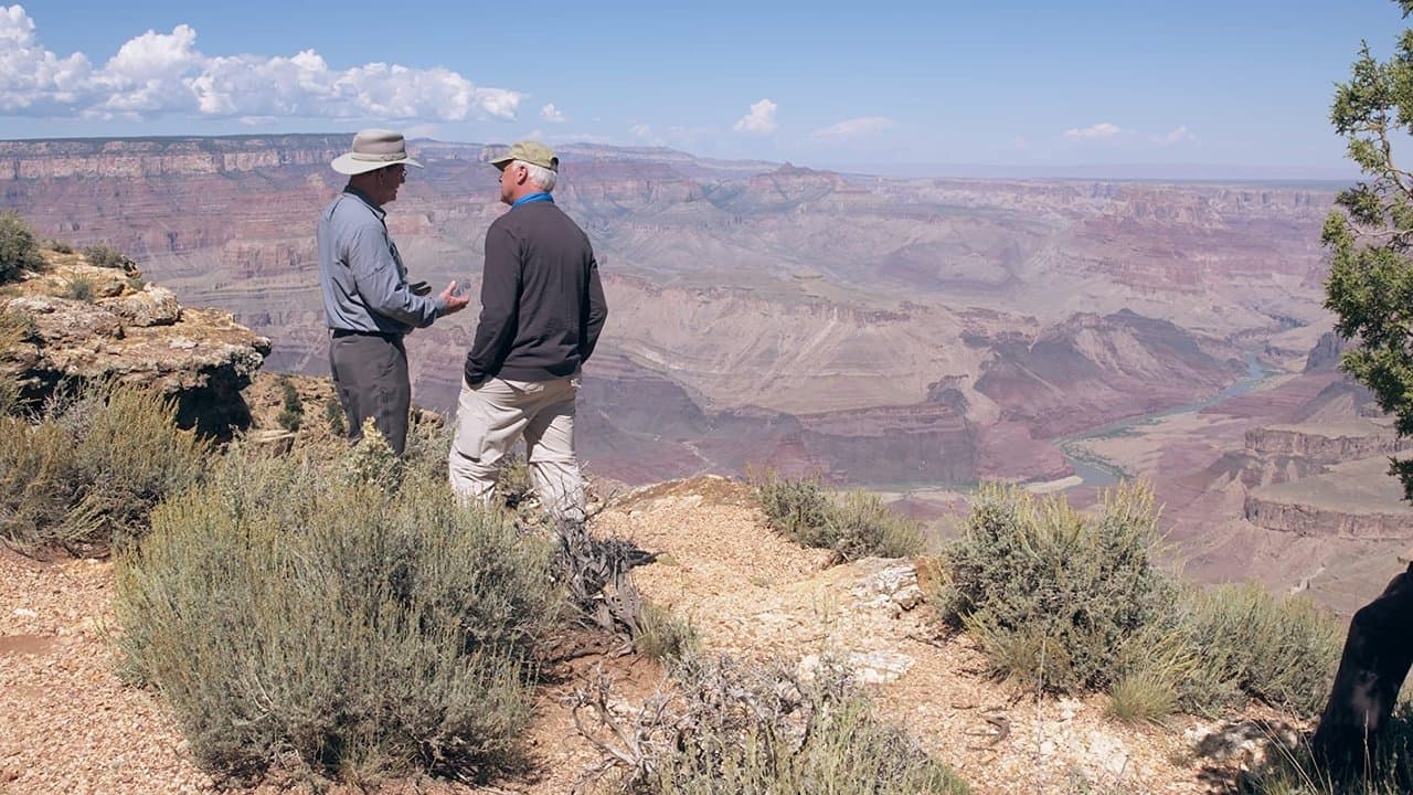 Backdrop – Is Genesis History?