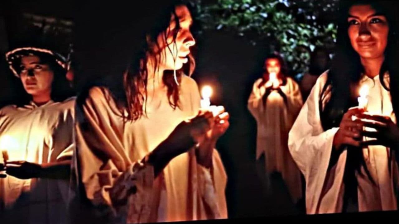 Backdrop – El Gran Árbol