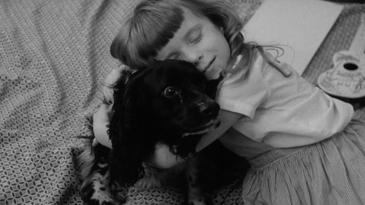 Backdrop – The Dog Lover
