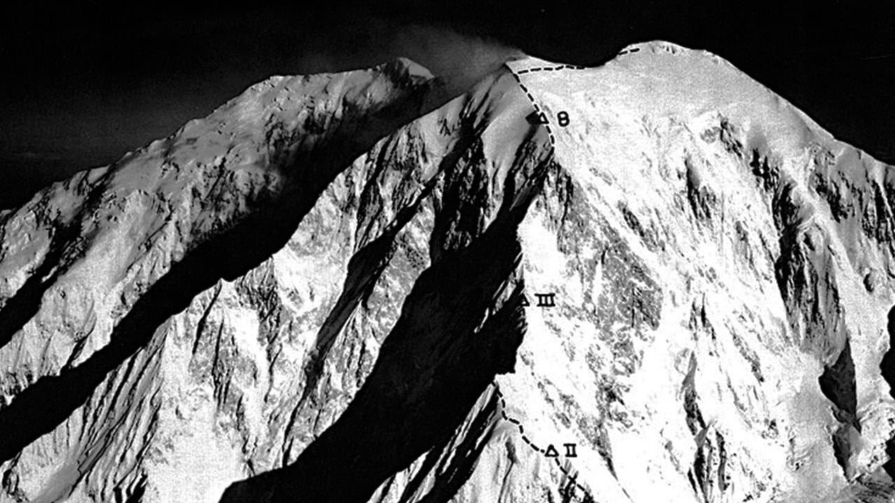 Backdrop – La Femme De Denali