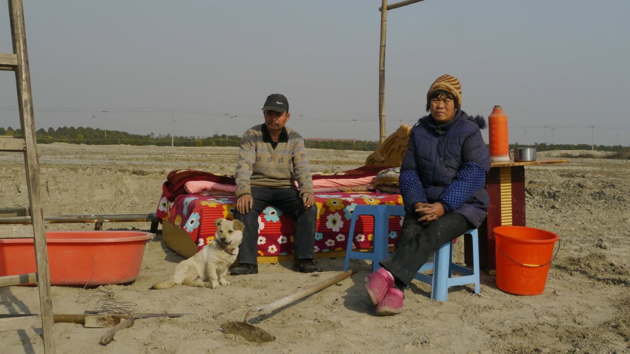 Backdrop – 24号大街