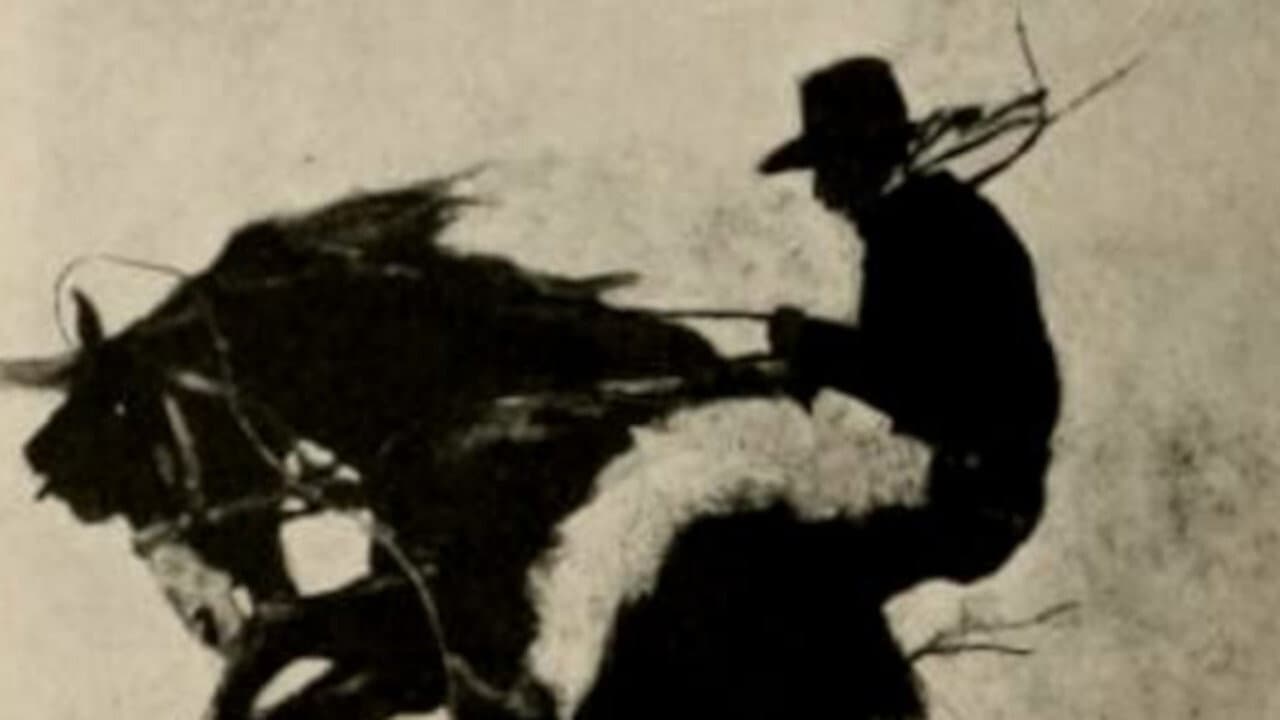 Backdrop – The Millionaire Cowboy