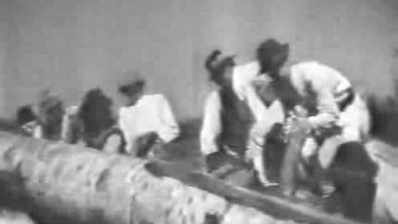 Backdrop – Буковина, земля українська