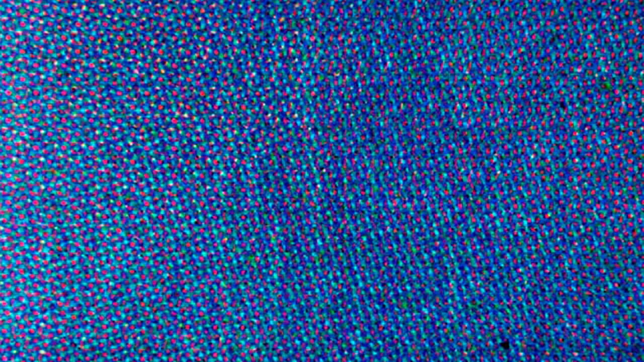 Backdrop – Blue Movie
